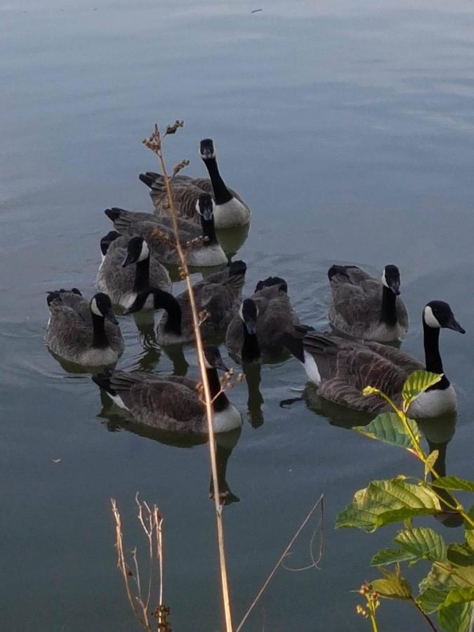 Elton Barn Fishery & Retreat Nottingham Ngoại thất bức ảnh