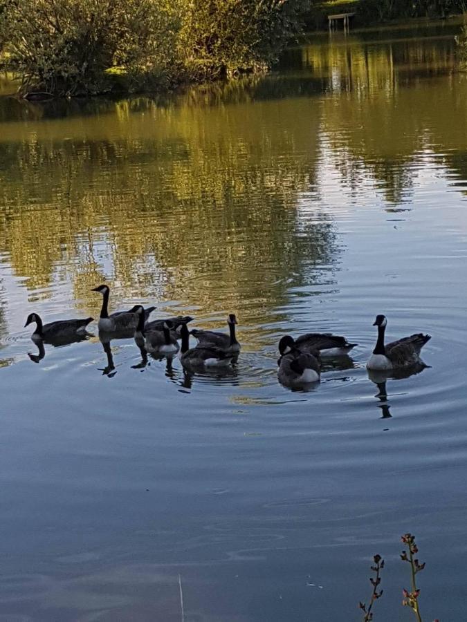 Elton Barn Fishery & Retreat Nottingham Ngoại thất bức ảnh